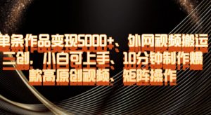 单条作品变现5000+、外网视频搬运二创,小白可上手,10分钟制作爆款高原创视频,矩阵操作【揭秘】-如意资源库