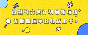 视频号最新爆火赛道玩法，只需无脑搬运，轻松过原创，单日收益上千【揭秘】-如意资源库