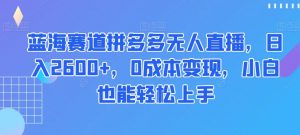 蓝海赛道拼多多无人直播，日入2600+，0成本变现，小白也能轻松上手【揭秘】-如意资源库