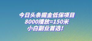 今日头条掘金低保项目,8000播放=150米,小白副业首选【揭秘】-如意资源库