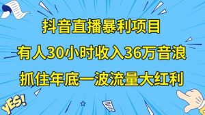 抖音直播暴利项目,有人30小时收入36万音浪,公司宣传片年会视频制作,抓住年底一波流量大红利【揭秘】-如意资源库