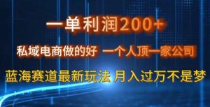 一单利润200私域电商做的好，一个人顶一家公司蓝海赛道最新玩法【揭秘】-如意资源库
