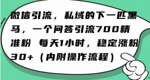 怎么搞精准创业粉？微信新赛道，每天一小时，利用Ai一个问答日引100精准粉-如意资源库