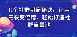 11个社群引流秘诀,让用户裂变倍增,轻松打造社群流量池-如意资源库