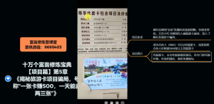 十万个富翁修炼宝典之5.揭秘旅游卡项目骗局，号称“一张卡赚500，一天能卖两三张”-如意资源库