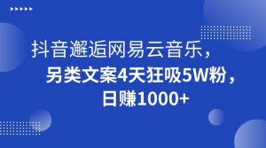 抖音邂逅网易云音乐，另类文案4天狂吸5W粉，日赚1000+【揭秘】-如意资源库