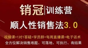 爆款!销冠训练营3.0之顺人性销售法,全方位解决销售难题、可落地、可执行、有结果-如意资源库