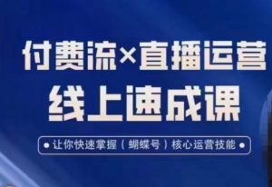 视频号付费流实操课程，付费流✖️直播运营速成课，让你快速掌握视频号核心运营技能-如意资源库