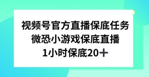 视频号直播任务，微恐小游戏，1小时20+【揭秘】-如意资源库