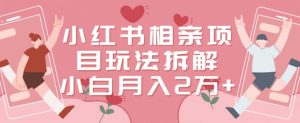 小红书相亲项目玩法拆解，有人通过这个副业项目做到了月收入2万多【揭秘】-如意资源库