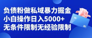 负债粉私域暴力掘金，小白操作入5000，无经验限制，无条件限制【揭秘】-如意资源库