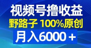 视频号野路子撸收益，100%原创，条条爆款，月入6000＋【揭秘】-如意资源库