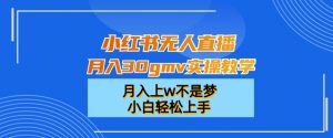 小红书无人直播月入30gmv实操教学,月入上w不是梦,小白轻松上手【揭秘】-如意资源库