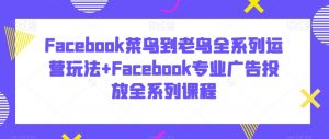Facebook菜鸟到老鸟全系列运营玩法+Facebook专业广告投放全系列课程-如意资源库