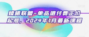 臻曦联盟-单品微付费正价起号，2024年1月最新课程-如意资源库