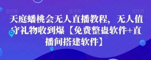 天庭蟠桃会无人直播教程，无人值守礼物收到爆【免费整蛊软件+直播间搭建软件】-如意资源库
