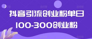 抖音引流创业粉单日100-300创业粉【揭秘】-如意资源库