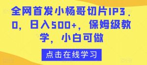 全网首发小杨哥切片IP3.0，日入500+，保姆级教学，小白可做【揭秘】-如意资源库