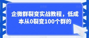 企微群裂变实战教程，低成本从0裂变100个群的-如意资源库