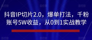 抖音IP切片2.0，爆单打法，千粉账号5W收益，从0到1实战教学【揭秘】-如意资源库