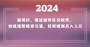 2024新项目,通过国外社交软件,快速涨粉精准引流,轻松做到月入上万【揭秘】-如意资源库