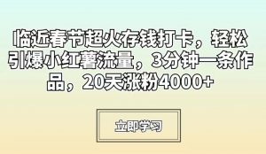 临近春节超火存钱打卡，轻松引爆小红薯流量，3分钟一条作品，20天涨粉4000+【揭秘】-如意资源库