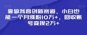 靠做抖音创新赛道，小白也能一个月涨粉10万+，回收账号变现2万+【揭秘】-如意资源库