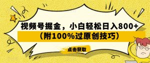 视频号掘金，小白轻松日入800+（附100%过原创技巧）【揭秘】-如意资源库