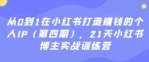 从0到1在小红书打造赚钱的个人IP(第四期),21天小红书博主实战训练营-如意资源库