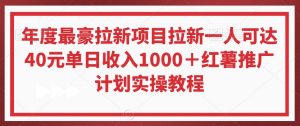 年度最豪拉新项目拉新一人可达40元单日收入1000＋红薯推广计划实操教程【揭秘】-如意资源库