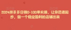 2024拼多多日销0-100单实操，让你迅速起步，做一个稳定盈利的店铺出来-如意资源库
