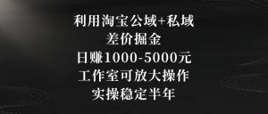 利用淘宝公域+私域差价掘金，日赚1000-5000元，工作室可放大操作，实操稳定半年【揭秘】-如意资源库