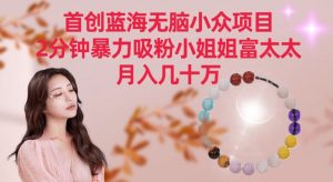 首创蓝海无脑小众项目，2分钟暴力吸粉小姐姐富太太，月入几十万【揭秘】-如意资源库