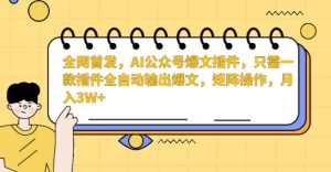 全网首发,AI公众号爆文插件,只需一款插件全自动输出爆文,矩阵操作,月入3W+【揭秘】-如意资源库