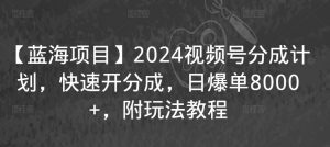 【蓝海项目】2024视频号分成计划，快速开分成，日爆单8000+，附玩法教程-如意资源库