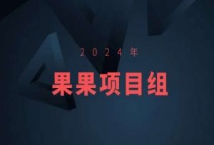2024年果果项目组项目合集-果果最新项目-如意资源库