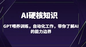 AI硬核知识-GPT喂养训练,自动化工作,带你了解AI的能力边界(10节课)-如意资源库
