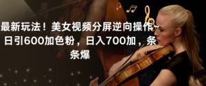 最新玩法！美女视频分屏逆向操作~日引600加色粉，日入700加，条条爆【揭秘】-如意资源库