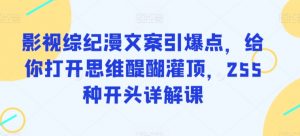 影视综纪漫文案引爆点，给你打开思维醍醐灌顶，255种开头详解课-如意资源库