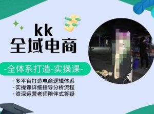 KK全域电商,全体系打造实操课,多平台打造电商逻辑体系-如意资源库