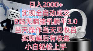日入2000+，实现全自动成交，B站无脑挂机躺平3.0，当天操作当天见收益，实现睡后有收益【揭秘】-如意资源库