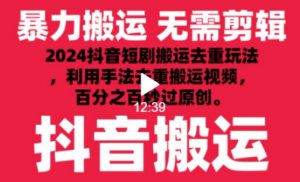 2024最新抖音搬运技术，抖音短剧视频去重，手法搬运，利用工具去重，达到秒过原创的效果【揭秘】-如意资源库