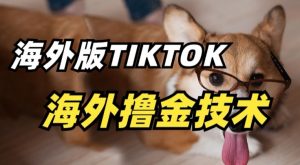 抖音海外版tiktok撸金技术，这个风口行业，赚钱真的不难【揭秘】-如意资源库