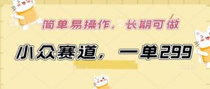 小众赛道，一单299.简单易操作，长期可做【揭秘】-如意资源库