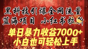 蓝海项目!黑科技引爆全网流量小红书拉新,单日暴力收益7000+,小白也能轻松上手【揭秘】-如意资源库