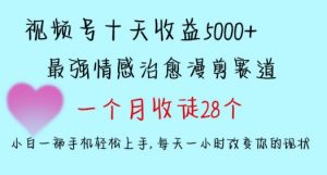 十天收益5000+,多平台捞金,视频号情感治愈漫剪,一个月收徒28个,小白一部手机轻松上手【揭秘】-如意资源库