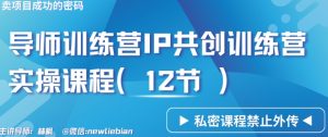 导师训练营3.0IP共创训练营私密实操课程（12节）-卖项目的密码成功秘诀【揭秘】-如意资源库