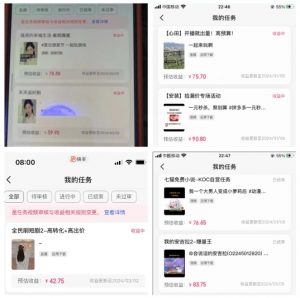 2024年3月最新,快手磁力聚星全流程实操教学,8台手机日均收益稳定100~200元【揭秘】-如意资源库