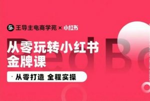 王导主·小红书电商运营实操课，​从零打造  全程实操-如意资源库