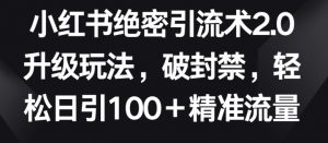 小红书绝密引流术2.0升级玩法,破封禁,轻松日引100+精准流量【揭秘】-如意资源库